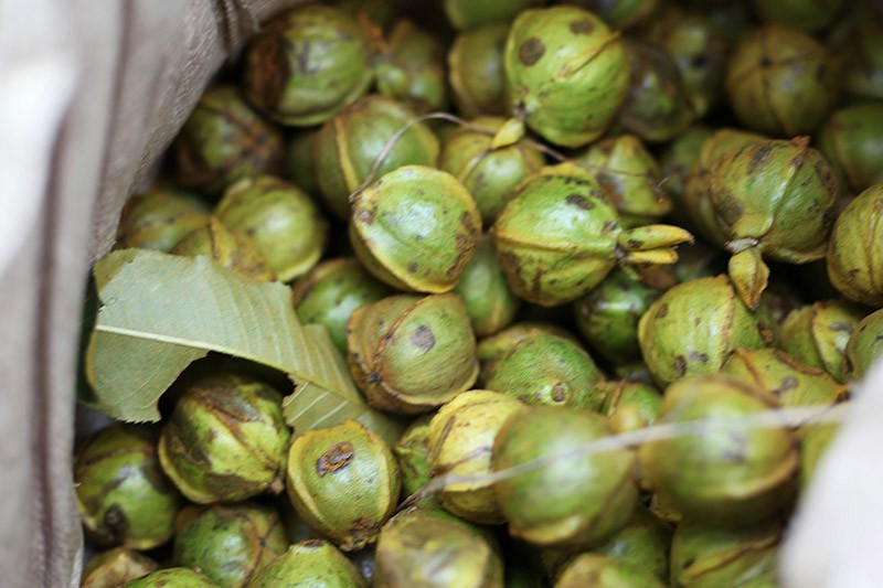 临安小核桃仁100g2罐低糖低盐自然原香