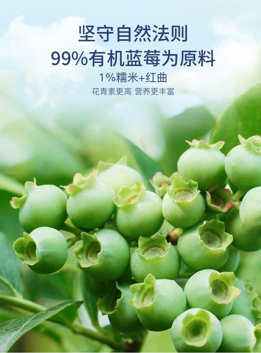 蓝莓湾商务蓝莓酒15蓝莓酒纯发酵酿造送礼佳品