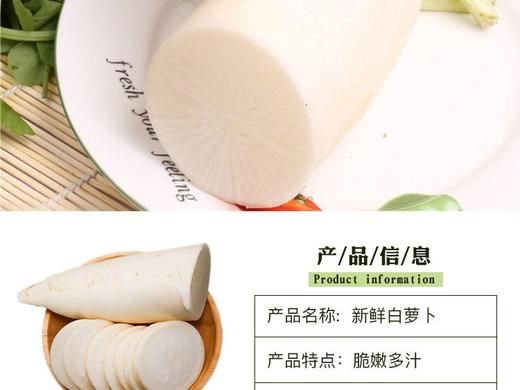 白萝卜 约1kg/份 商品图3