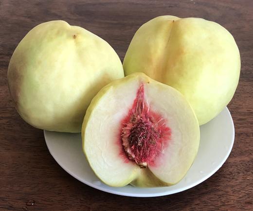 肥城寿桃5斤新鲜水果