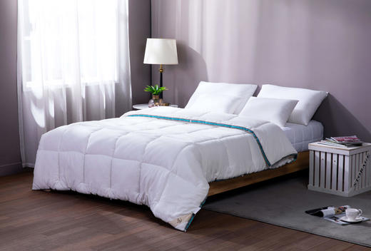 【远梦】多效抗菌智暖冬被 商品图1