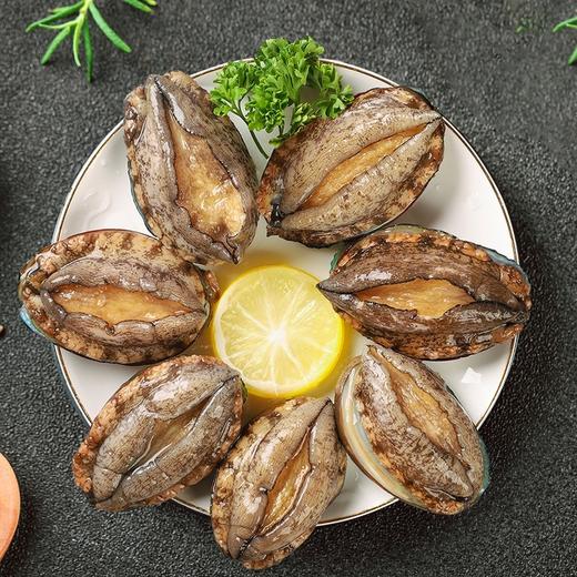 活冻10头鲜鲍鱼500克包