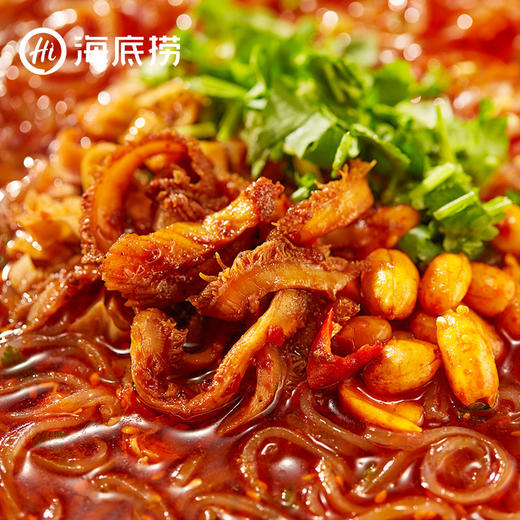 海底捞酸辣牛肚粉160g 商品图1