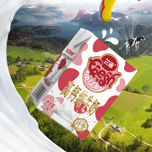 【整箱】兰雀唯鲜高钙全脂纯牛奶200ml*24盒 商品图2