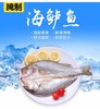 海鲈鱼450克 商品缩略图0