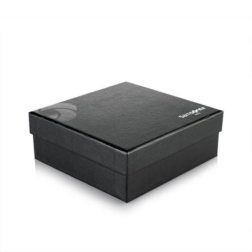 新秀丽 Samsonite 针扣皮带 59Q*09005 商品图7