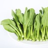 小白菜  500g 商品缩略图0