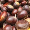 沂蒙山老树野生粟子板栗 3/5斤装 商品缩略图1