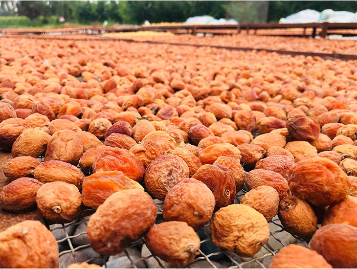 t新疆阿克苏四团吊干杏