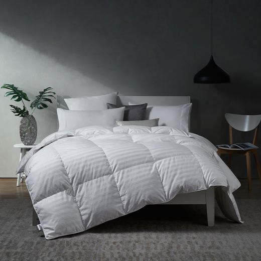 凯撒经典白鹅绒被 商品图0