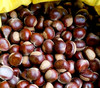 碧夏山庄老树板栗 源头直发 新鲜栗子 粒粒饱满 色泽鲜亮 商品缩略图1