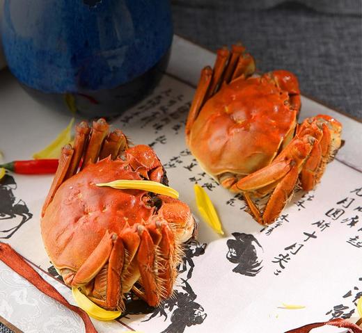 【礼券】阳澄联合 大闸蟹礼券2888型公4.0两 母3.0两 4对螃蟹券(T) 商品图6