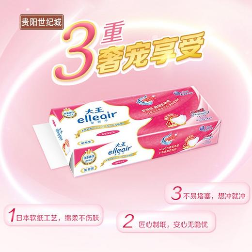 【GY】elleair 大王卷筒卫生纸柔软亲肤型10卷 商品图1