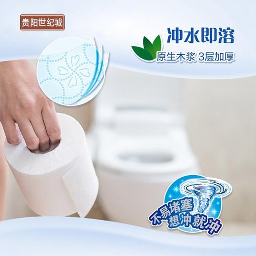 【GY】elleair 大王卷筒卫生纸柔韧吸水型10卷 商品图3