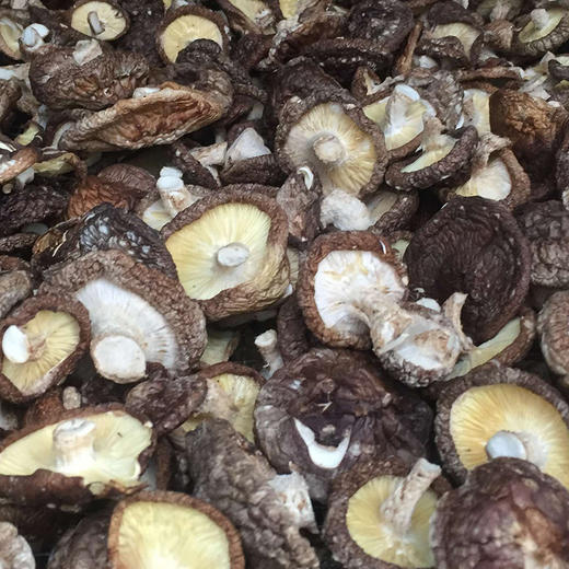 尝味无限松仁香菇素酱88g/罐 万用酱料 香气浓郁 口感丰富 商品图7