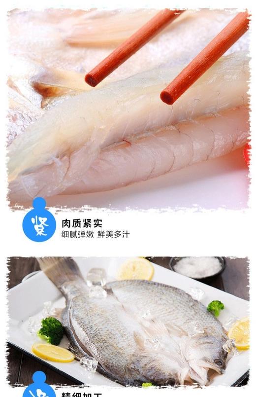 海鲈鱼450克 商品图1