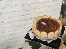 提拉米苏蛋糕