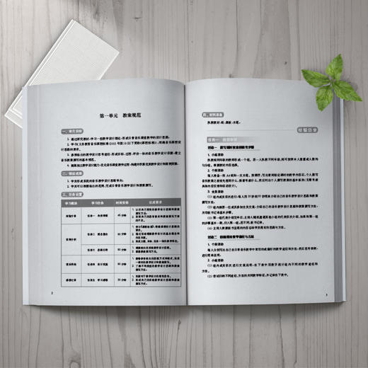小学音乐课堂教学设计 商品图2