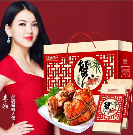 【礼券】阳澄联合 大闸蟹礼券2888型公4.0两 母3.0两 4对螃蟹券(T) 商品图1