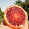 【澳大利亚天然风糖紫血橙】10·11粒/箱，约5.5斤  个头均匀 商品缩略图0