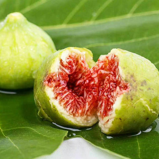 山东威海 青皮无花果3斤装 肉质细嫩 果型丰满 香甜多汁 果园直发