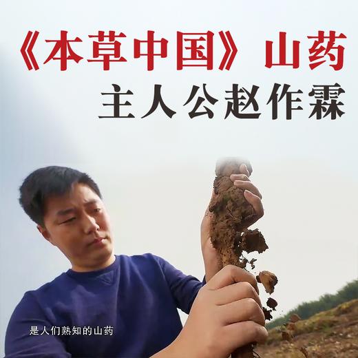 山药哥丨怀山药片 人工晾晒 净含量500g 商品图2