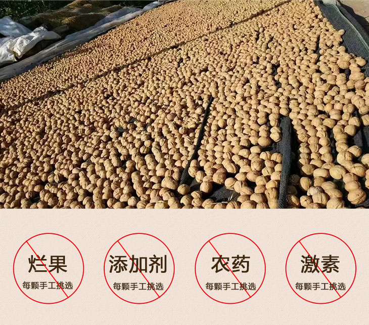 【产地直发】新疆185纸皮核桃