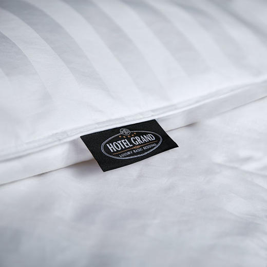 凯撒经典白鹅绒被 商品图3