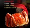 【礼券】阳澄联合 大闸蟹礼券2888型公4.0两 母3.0两 4对螃蟹券(T) 商品缩略图8