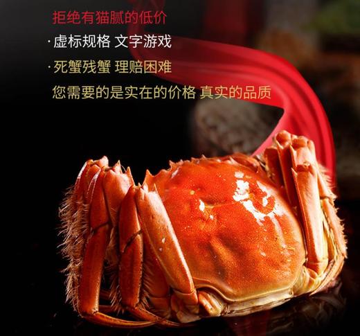 【礼券】阳澄联合 大闸蟹礼券2888型公4.0两 母3.0两 4对螃蟹券(T) 商品图8