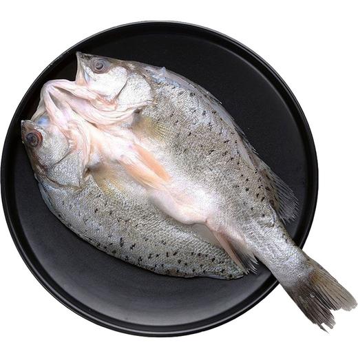 海鲈鱼450克 商品图2