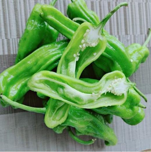 【时令蔬菜】青椒250g±20g 商品图2