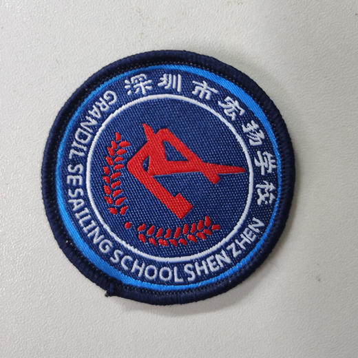 深圳市龙岗区宏扬学校小学生校服（送校徽） 商品图0