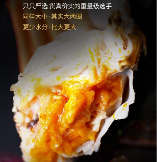 【礼券】阳澄联合 大闸蟹礼券2888型公4.0两 母3.0两 4对螃蟹券(T) 商品图9
