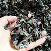 秋木耳（大兴安岭头茬） 商品缩略图0