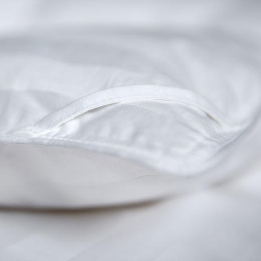 凯撒经典白鹅绒被 商品图4