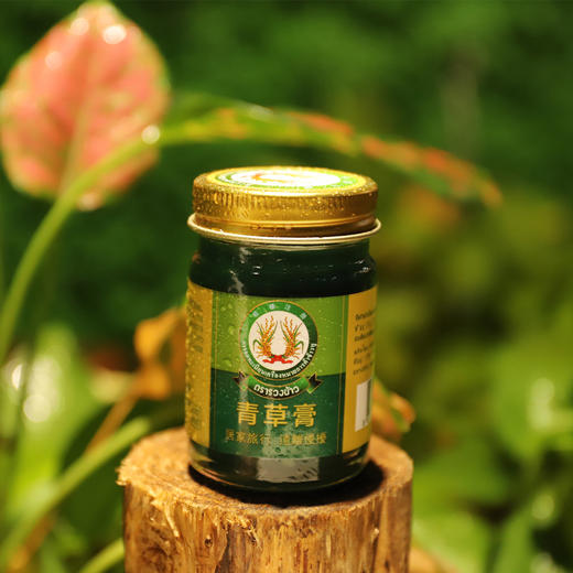泰国原装进口稻穗青草膏天然植物精华