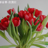 海盛郁金香-红色-10支/扎 商品缩略图0