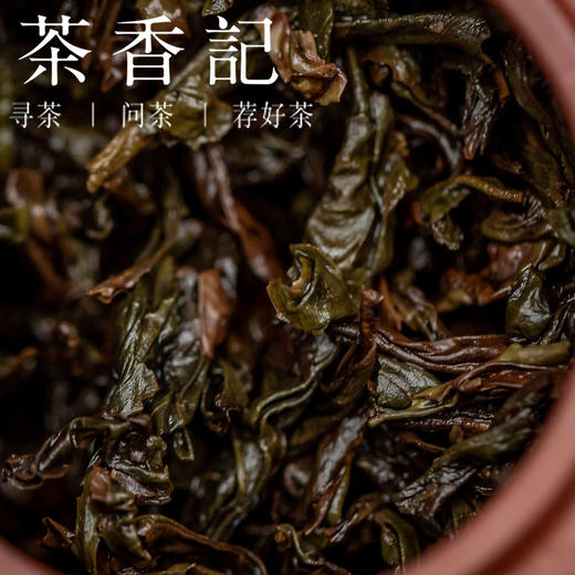 茶香记竹山高丛水仙201小竹林正岩兰花香稠滑武夷岩茶