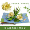绘本馆：乐乐趣立体书-《花·恋》 商品缩略图5