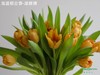 海盛郁金香-橙色-10枝/扎 商品缩略图0