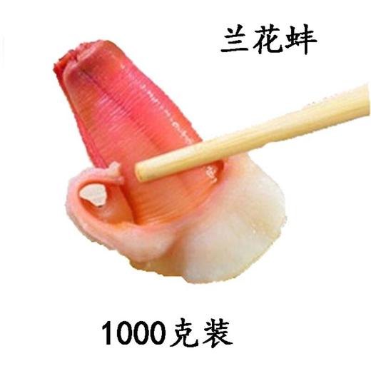 兰花蚌1千克/包 商品图2