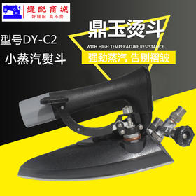 全蒸汽小熨斗 大洁王鼎玉牌DY-C2 蒸汽烫斗手拨式保温不锈钢底板