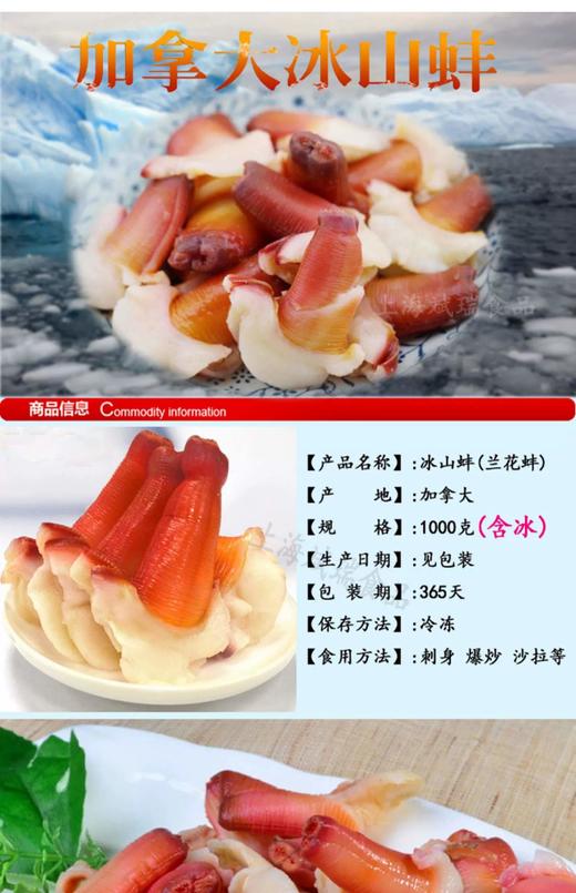 兰花蚌1千克/包 商品图3