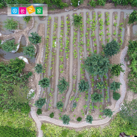 桑基鱼塘整体解决方案 商品图3