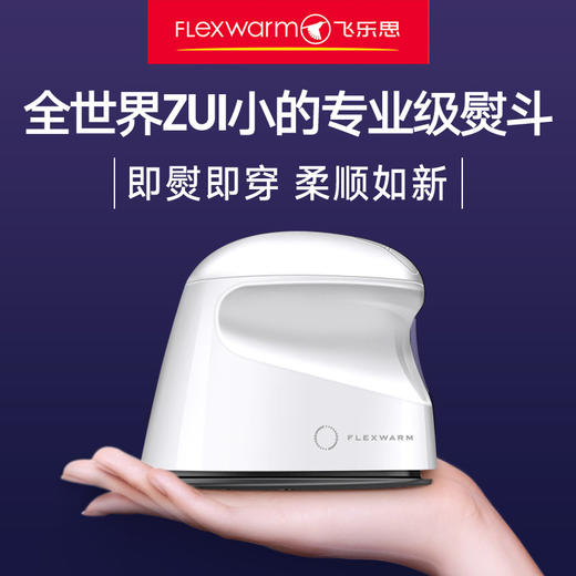 飞乐思手持挂烫机家用纳米蒸汽电熨斗小型便携式旅行迷你熨烫神器 商品图0