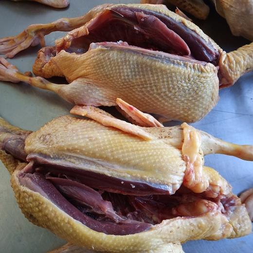 鲜冻红头雁3.75千克左右 商品图2