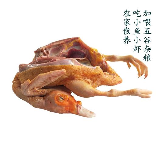 鲜冻红头雁3.75千克左右 商品图0