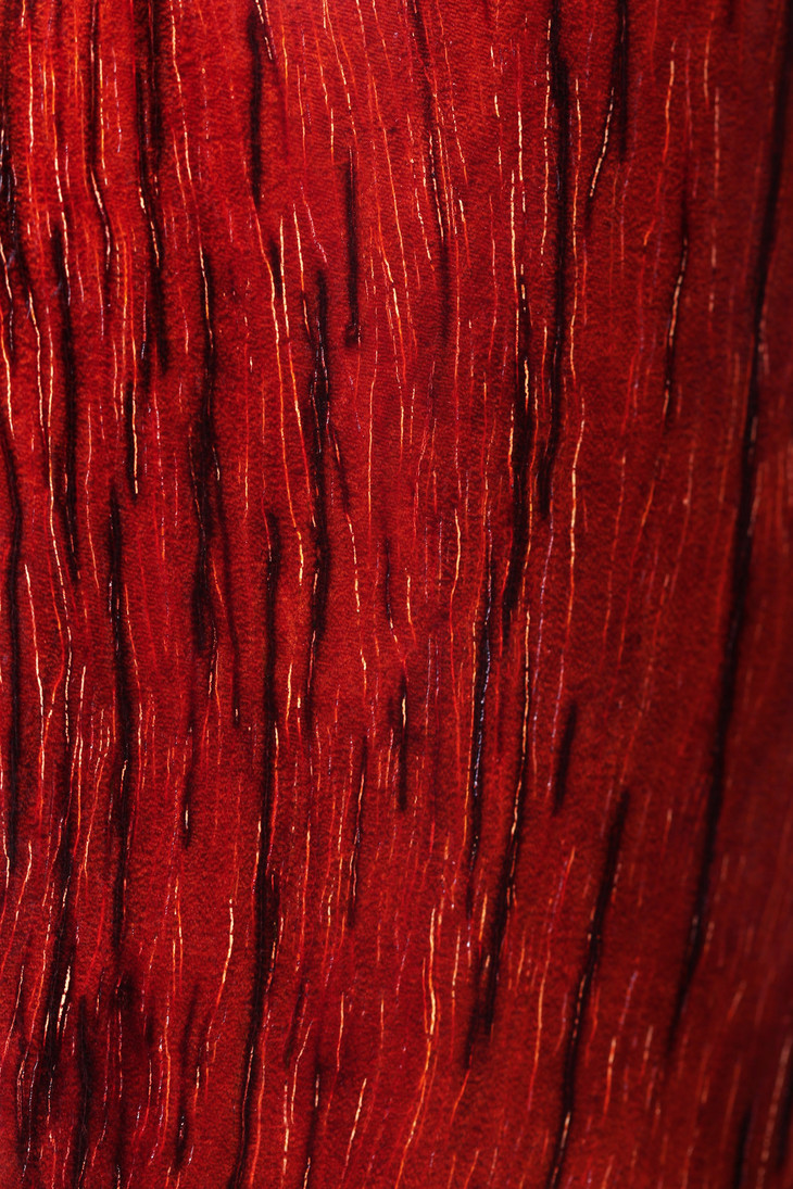 螭龙戏珠小叶紫檀摆件b43