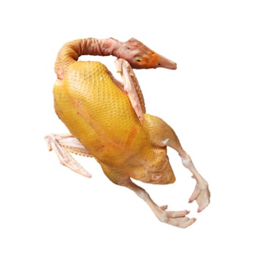 鲜冻红头雁3.75千克左右 商品图1